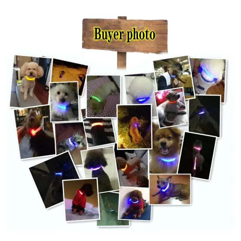 Led Dog Collar Light Anti-lost Collar For Dogs Puppies Night Luminous Supplies Pet Products Accessories USB