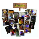 Led Dog Collar Light Anti-lost Collar For Dogs Puppies Night Luminous Supplies Pet Products Accessories USB