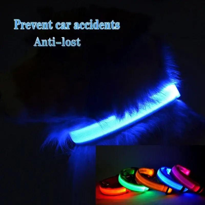 Led Dog Collar Light Anti-lost Collar For Dogs Puppies Night Luminous Supplies Pet Products Accessories USB