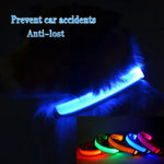 Led Dog Collar Light Anti-lost Collar For Dogs Puppies Night Luminous Supplies Pet Products Accessories USB