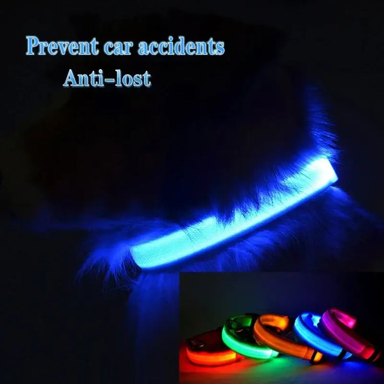 Led Dog Collar Light Anti-lost Collar For Dogs Puppies Night Luminous Supplies Pet Products Accessories USB