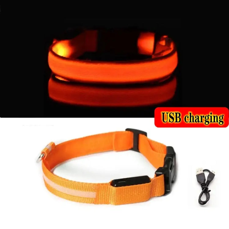 Led Dog Collar Light Anti-lost Collar For Dogs Puppies Night Luminous Supplies Pet Products Accessories USB