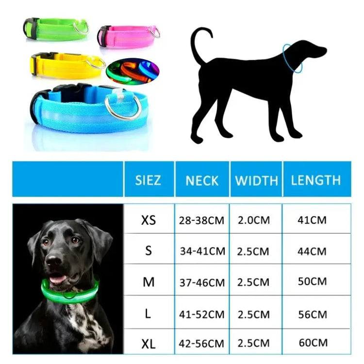 Led Dog Collar Light Anti-lost Collar For Dogs Puppies Night Luminous Supplies Pet Products Accessories USB