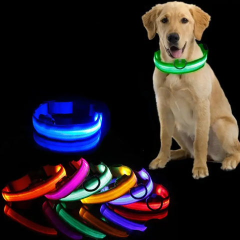 Led Dog Collar Light Anti-lost Collar For Dogs Puppies Night Luminous Supplies Pet Products Accessories USB