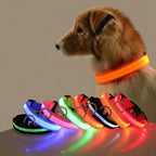Led Dog Collar Light Anti-lost Collar For Dogs Puppies Night Luminous Supplies Pet Products Accessories USB