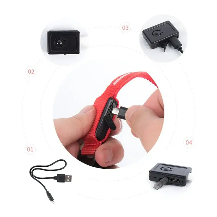 Led Dog Collar Light Anti-lost Collar For Dogs Puppies Night Luminous Supplies Pet Products Accessories USB