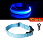 Led Dog Collar Light Anti-lost Collar For Dogs Puppies Night Luminous Supplies Pet Products Accessories USB
