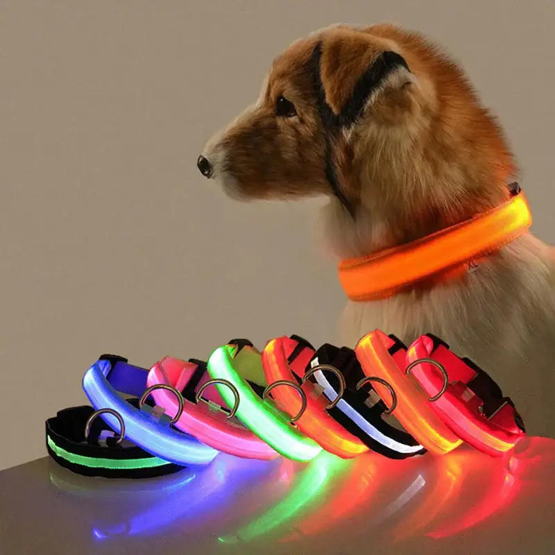 Led Dog Collar Light Anti-lost Collar For Dogs Puppies Night Luminous Supplies Pet Products Accessories USB