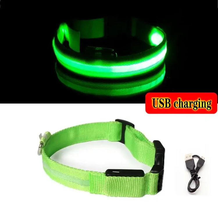 Led Dog Collar Light Anti-lost Collar For Dogs Puppies Night Luminous Supplies Pet Products Accessories USB