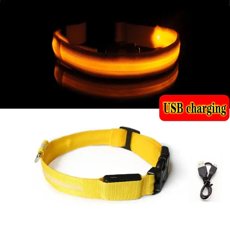 Led Dog Collar Light Anti-lost Collar For Dogs Puppies Night Luminous Supplies Pet Products Accessories USB