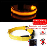 Led Dog Collar Light Anti-lost Collar For Dogs Puppies Night Luminous Supplies Pet Products Accessories USB