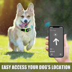 LED Dog Collar with Built-in AirTag Holder Rechargeable Waterproof & Reflective for Night Safety Adjustable