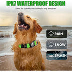 LED Dog Collar with Built-in AirTag Holder Rechargeable Waterproof & Reflective for Night Safety Adjustable