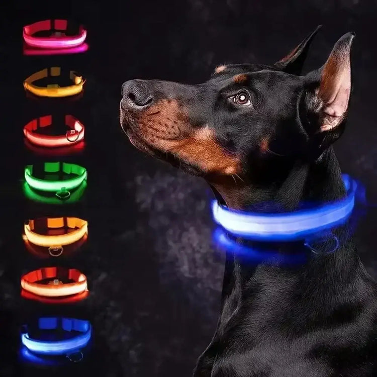 LED Glowing Dog Collar Adjustable Flashing Rechargea Luminous Collar Night Anti-Lost Dog Light HarnessFor Small Dog Pet