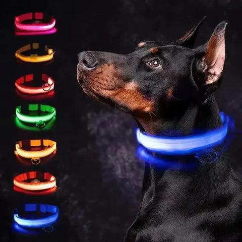 LED Glowing Dog Collar Adjustable Flashing Rechargea Luminous Collar Night Anti-Lost Dog Light HarnessFor Small Dog Pet