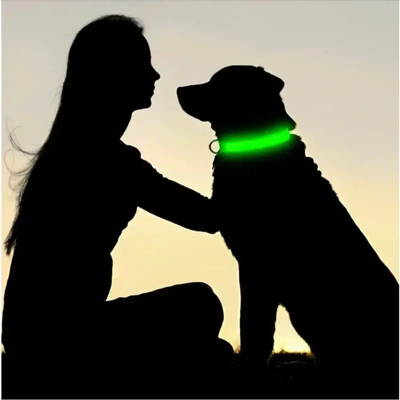 LED Glowing Dog Collar Adjustable Flashing Rechargea Luminous Collar Night Anti-Lost Dog Light HarnessFor Small Dog Pet
