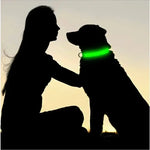 LED Glowing Dog Collar Adjustable Flashing Rechargea Luminous Collar Night Anti-Lost Dog Light HarnessFor Small Dog Pet