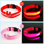 LED Glowing Dog Collar Adjustable Flashing Rechargea Luminous Collar Night Anti-Lost Dog Light HarnessFor Small Dog Pet