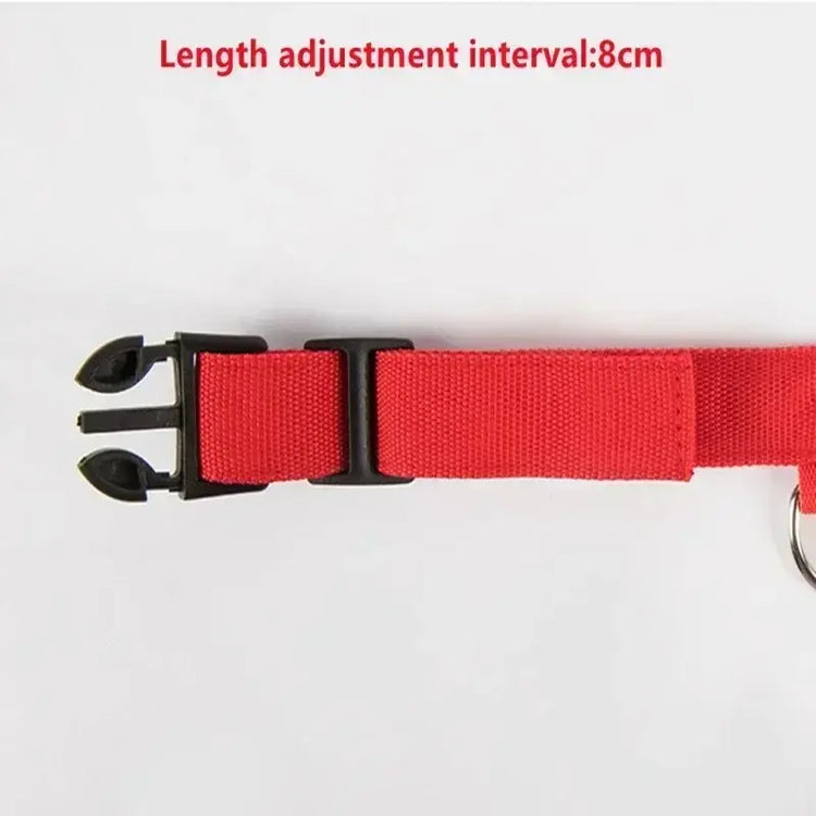 LED Glowing Dog Collar Adjustable Flashing Rechargea Luminous Collar Night Anti-Lost Dog Light HarnessFor Small Dog Pet