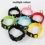 LED Glowing Dog Collar Adjustable Flashing Rechargea Luminous Collar Night Anti-Lost Dog Light HarnessFor Small Dog Pet