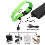 LED Glowing Dog Collar Adjustable Flashing Rechargea Luminous Collar Night Anti-Lost Dog Light HarnessFor Small Dog Pet