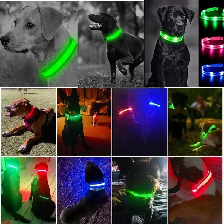 LED Glowing Dog Collar Adjustable Flashing Rechargea Luminous Collar Night Anti-Lost Dog Light HarnessFor Small Dog Pet