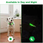 LED Glowing Dog Collar Adjustable Flashing Rechargea Luminous Collar Night Anti-Lost Dog Light HarnessFor Small Dog Pet