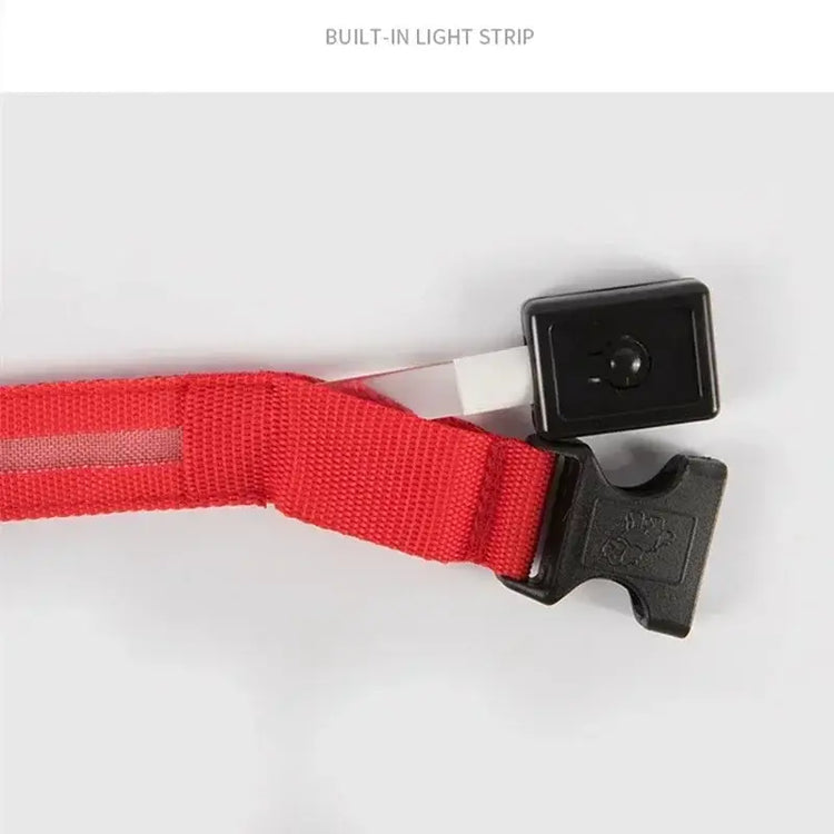 LED Glowing Dog Collar Adjustable Flashing Rechargea Luminous Collar Night Anti-Lost Dog Light HarnessFor Small Dog Pet