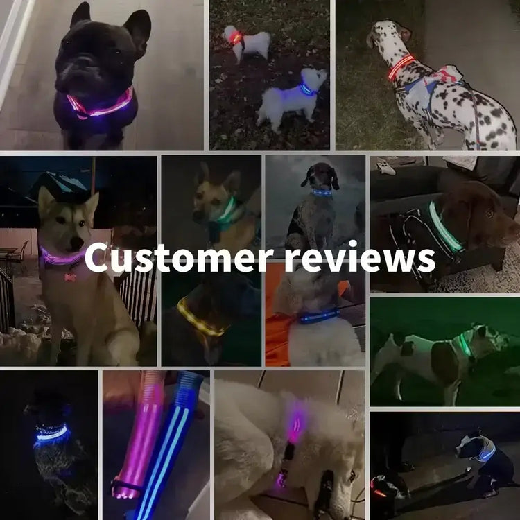 LED Glowing Dog Collar Adjustable Flashing Rechargea Luminous Collar Night Anti-Lost Dog Light HarnessFor Small Dog Pet