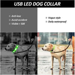 LED Glowing Dog Collar Adjustable Flashing Rechargea Luminous Collar Night Anti-Lost Dog Light HarnessFor Small Dog Pet