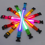 LED Glowing Dog Collar Adjustable Flashing Rechargea Luminous Collar Night Anti-Lost Dog Light HarnessFor Small Dog Pet