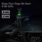 LED Glowing Dog Collar Adjustable Flashing Rechargea Luminous Collar Night Anti-Lost Dog Light HarnessFor Small Dog Pet