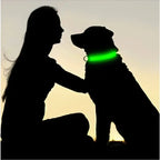 LED Glowing Dog Collar Adjustable Flashing Rechargea Luminous Collar Night Anti-Lost Dog Light HarnessFor Small Dog Pet