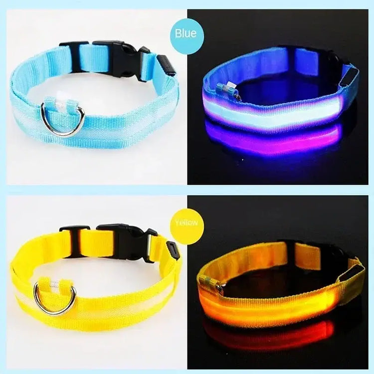 LED Glowing Dog Collar Adjustable Flashing Rechargea Luminous Collar Night Anti-Lost Dog Light HarnessFor Small Dog Pet