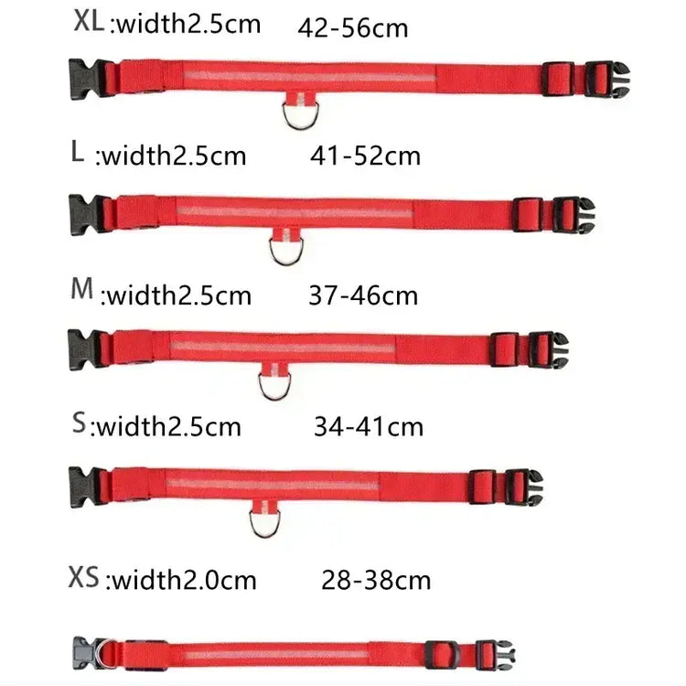 LED Glowing Dog Collar Adjustable Flashing Rechargea Luminous Collar Night Anti-Lost Dog Light HarnessFor Small Dog Pet