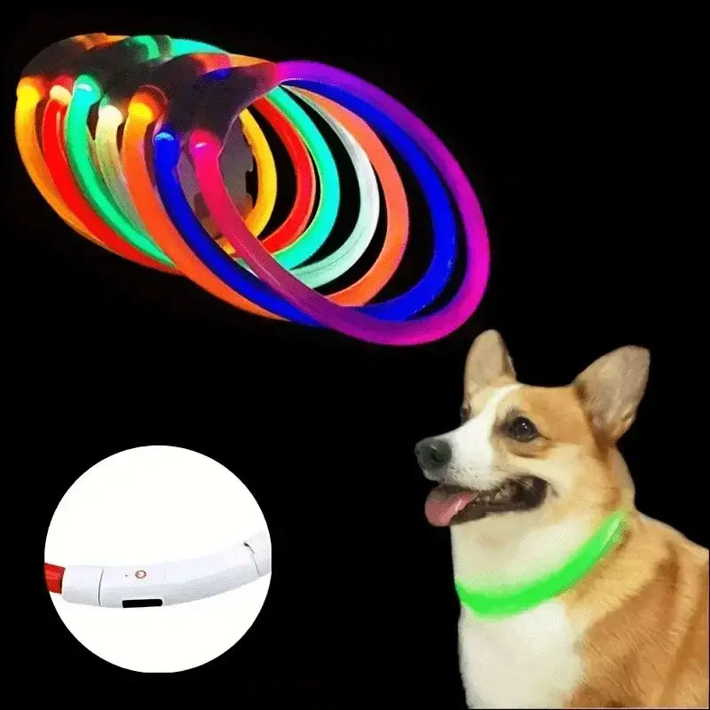 LED Light Dog Collar USB Charging Luminous Anti-Lost Necklace for Large Medium Small Dogs Pet Safety Accessory