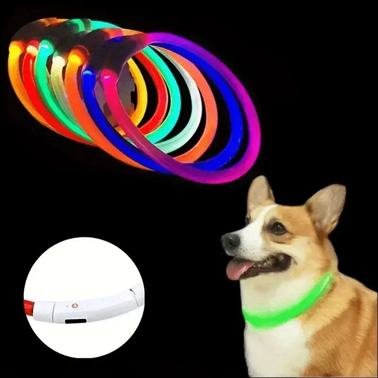 LED Light Dog Collar USB Charging Luminous Anti-Lost Necklace for Large Medium Small Dogs Pet Safety Accessory