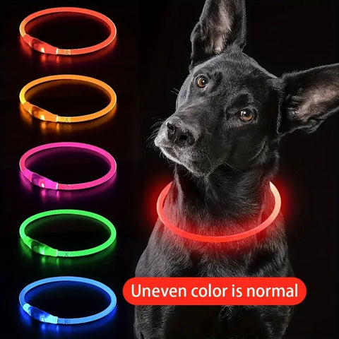 LED Light Dog Collar USB Charging Luminous Anti-Lost Necklace for Large Medium Small Dogs Pet Safety Accessory