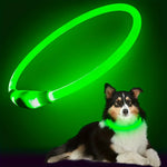 LED Light Dog Collar USB Charging Luminous Anti-Lost Necklace for Large Medium Small Dogs Pet Safety Accessory - Green