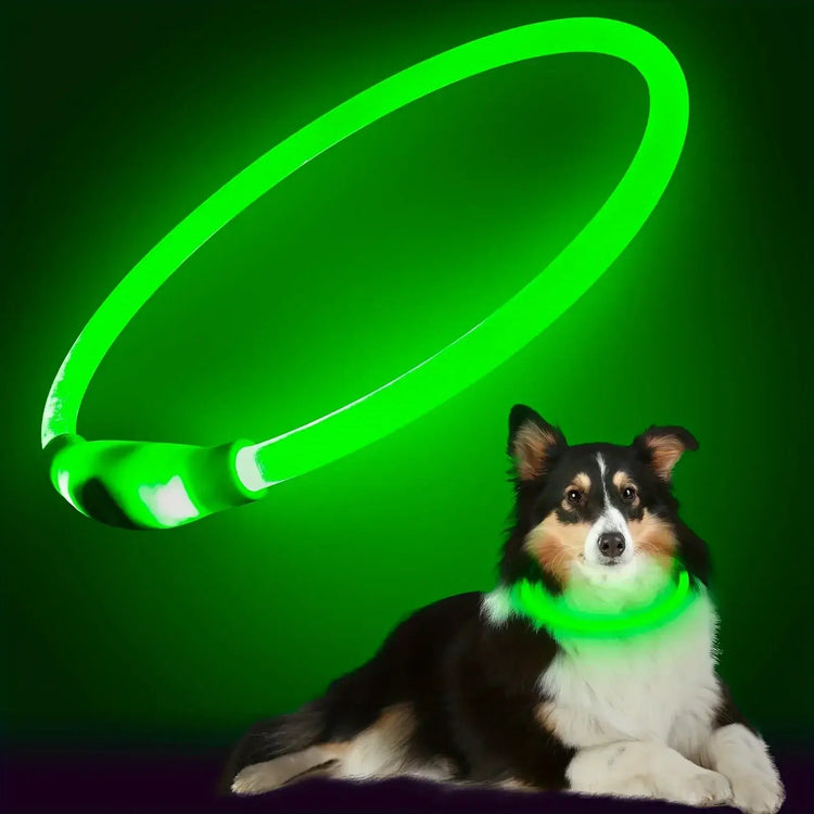 LED Light Dog Collar USB Charging Luminous Anti-Lost Necklace for Large Medium Small Dogs Pet Safety Accessory - Green