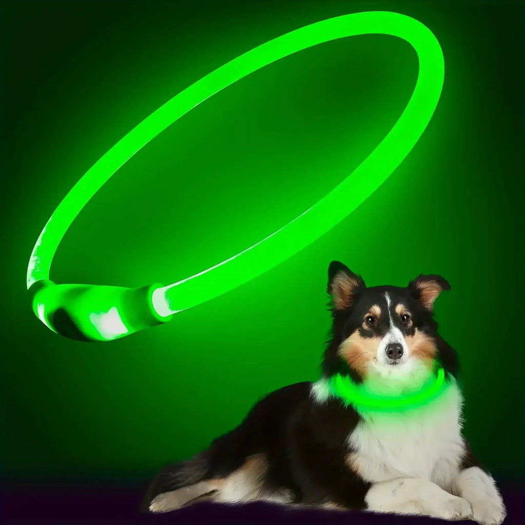 LED Light Dog Collar USB Charging Luminous Anti-Lost Necklace for Large Medium Small Dogs Pet Safety Accessory