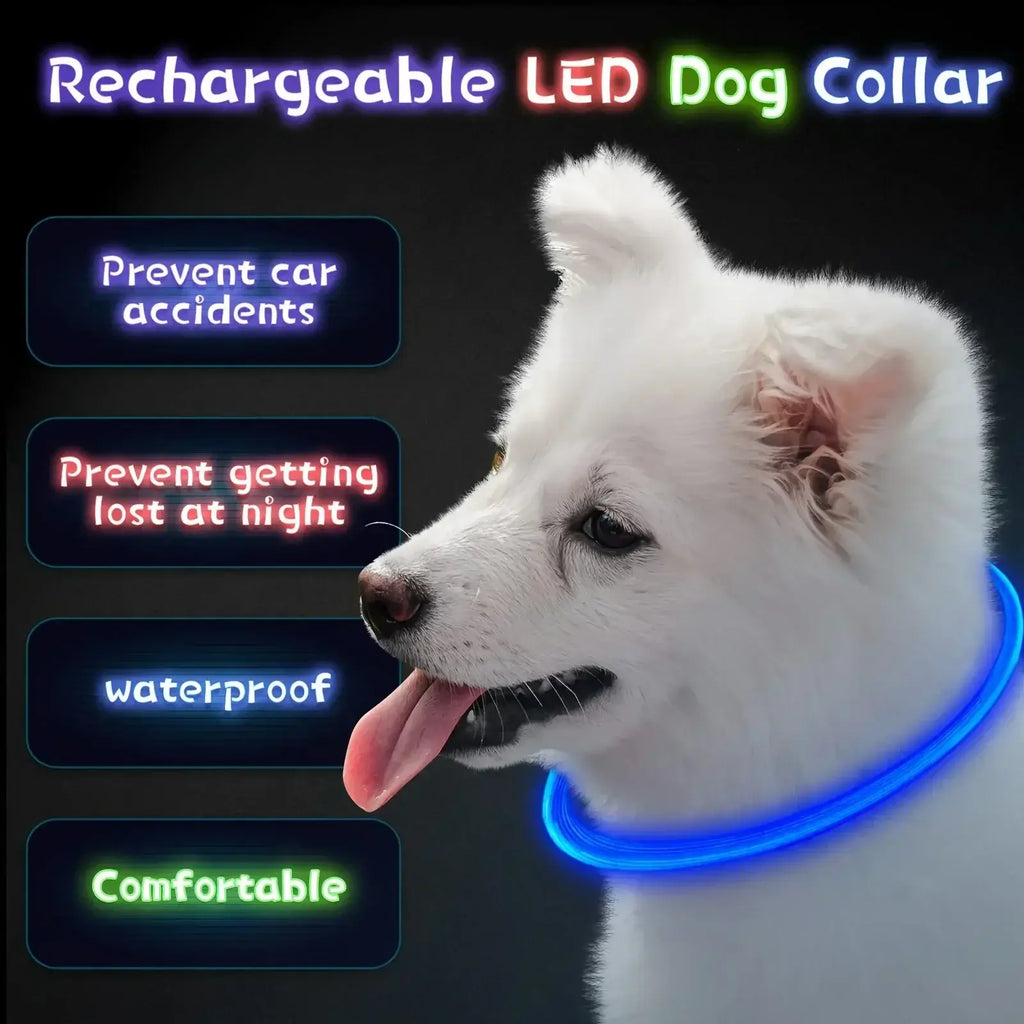 LED Light Dog Collar USB Charging Luminous Anti-Lost Necklace for Large Medium Small Dogs Pet Safety Accessory