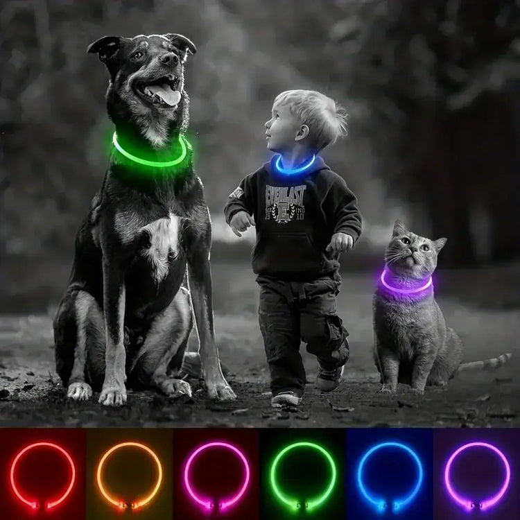 LED Light Dog Collar USB Charging Luminous Anti-Lost Necklace for Large Medium Small Dogs Pet Safety Accessory