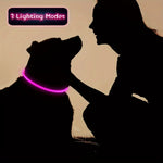 LED Light Dog Collar USB Charging Luminous Anti-Lost Necklace for Large Medium Small Dogs Pet Safety Accessory