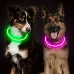 LED Light Dog Collar USB Charging Luminous Anti-Lost Necklace for Large Medium Small Dogs Pet Safety Accessory