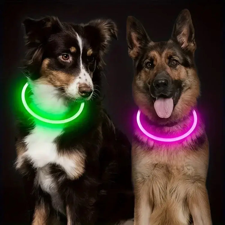 LED Light Dog Collar USB Charging Luminous Anti-Lost Necklace for Large Medium Small Dogs Pet Safety Accessory