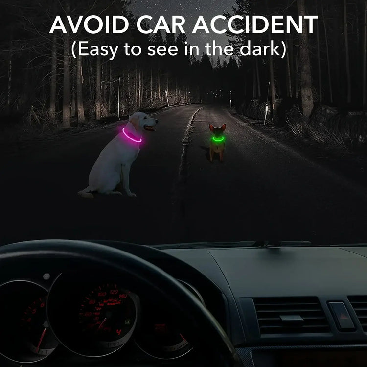 LED Light Dog Collar USB Charging Luminous Anti-Lost Necklace for Large Medium Small Dogs Pet Safety Accessory