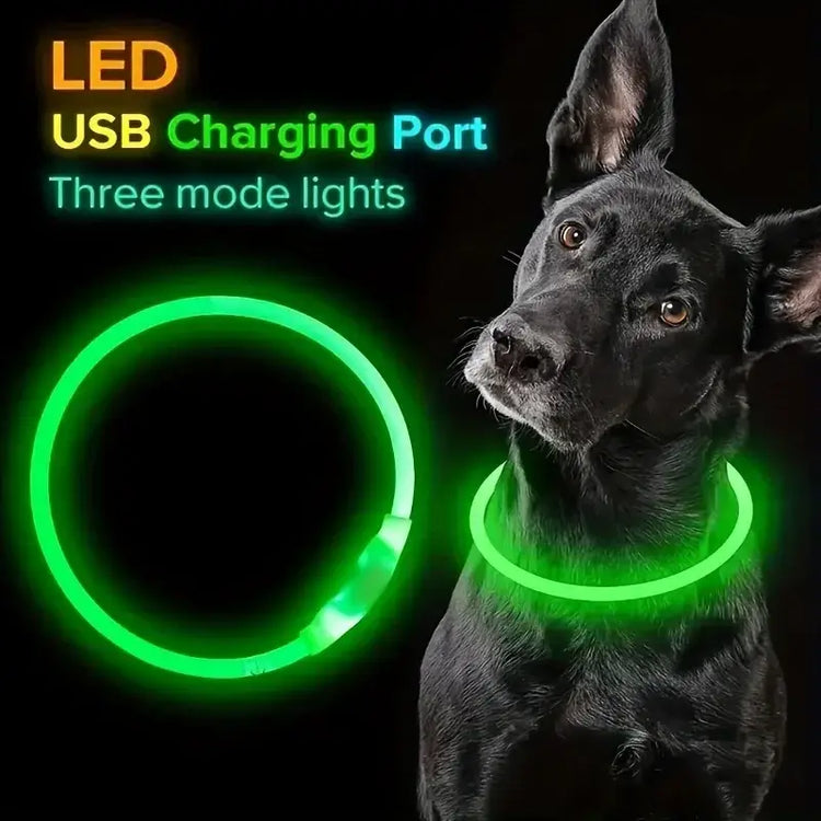LED Light Dog Collar USB Charging Luminous Anti-Lost Necklace for Large Medium Small Dogs Pet Safety Accessory