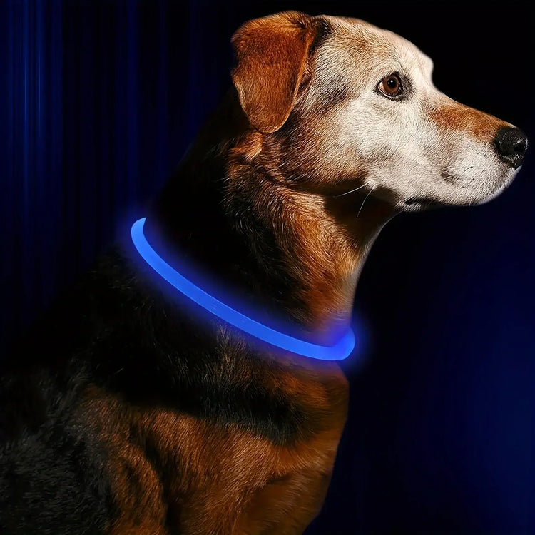 LED Light Dog Collar USB Charging Luminous Anti-Lost Necklace for Large Medium Small Dogs Pet Safety Accessory - blue