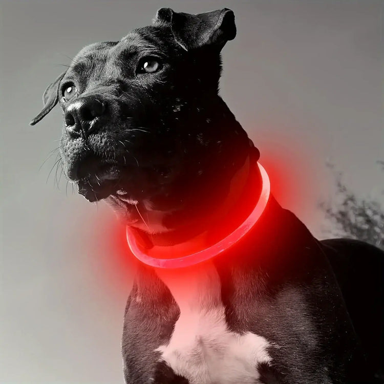 LED Light Dog Collar USB Charging Luminous Anti-Lost Necklace for Large Medium Small Dogs Pet Safety Accessory - Red